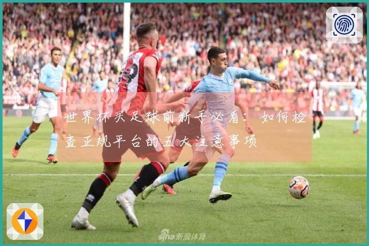 世界杯买足球前新手必看：如何检查正规平台的五大注意事项