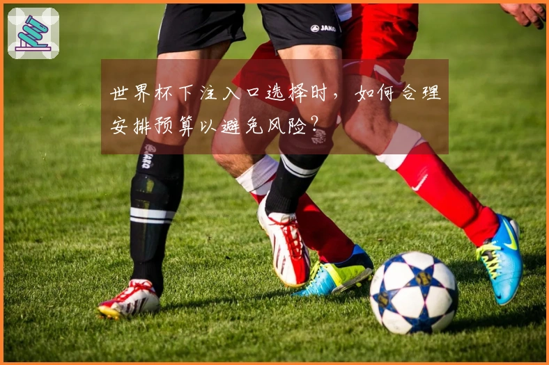 世界杯下注入口选择时，如何合理安排预算以避免风险？
